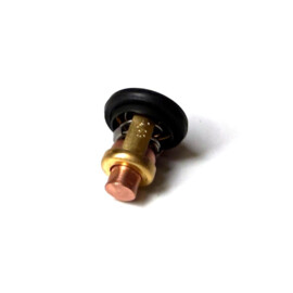 Thermostat geeignet als Ersatz für Yamaha 50, 60, 70 PS (6H3-12411-11)